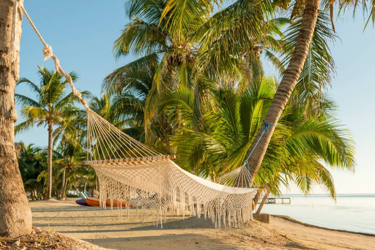 Tropical beach